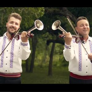 Ardeleana de la Beliu