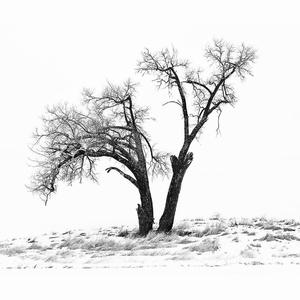 中国新说唱-串串（京赜 remix）