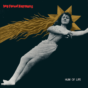 The Hook and the Wire