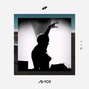 Generations (feat.Tiesto) (Avicii Tribute)