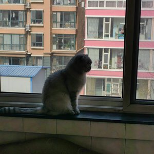 山间的小溪流