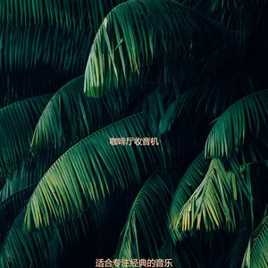 读热情的轻音乐