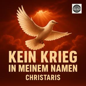 Kein Krieg in meinem Namen