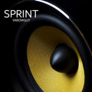 SPRINT