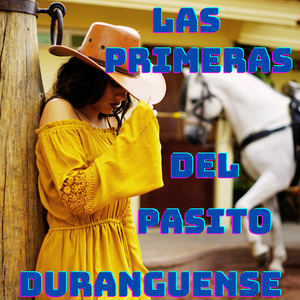 Popurri / Pobre Tom / La Vaca De Ventura 2 / La Muerte De Pancha / Pajaritos A Volar / La Segunda Del Brinquito Duranguense / El Perico De Tomasa / El Tango Del Perro