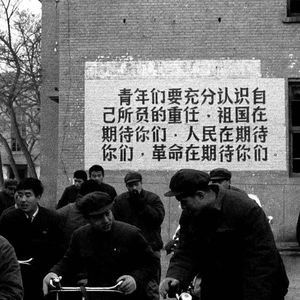 我在昨天的梦里又看见了你