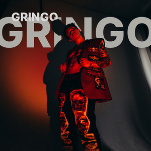Gringo