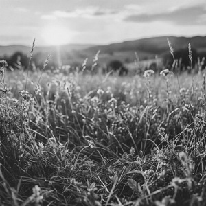 ひだまりの中へ (Demo)