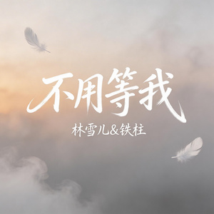 不用等我