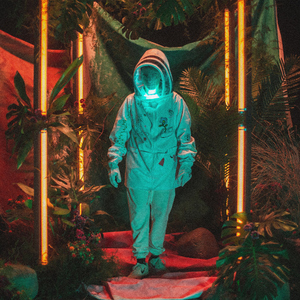 Exhibicionista (En Vivo)