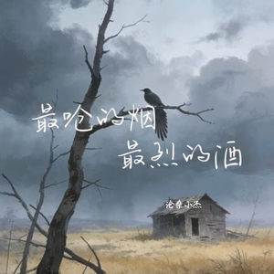 最呛的烟最烈的酒(DJ慢嗨版)