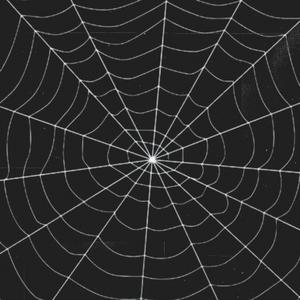 web