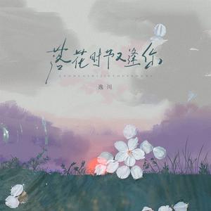 落花时节又逢你