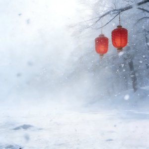 踏雪寻年