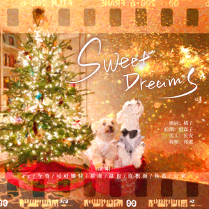Sweet Dreams（8p中填小合唱）