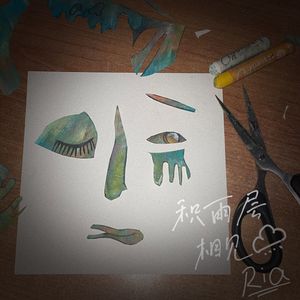 积雨层相见（猫版）