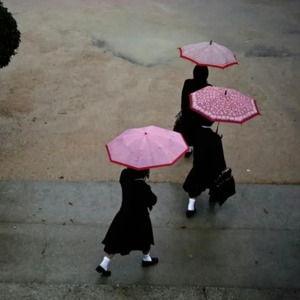 人类，一败涂地