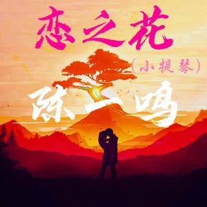 恋之花（violin）