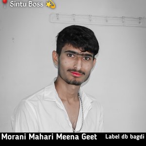 मोरनी म्हारी मीणा गीत (Hindi)