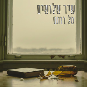 שיר שלושים (Radio Edit)