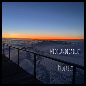 Probably (Extended Version)