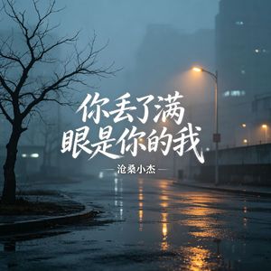 你丢了满眼是你的我