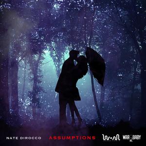 Assumptions