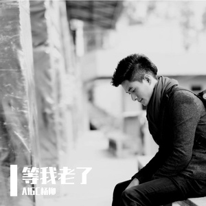 等我老了