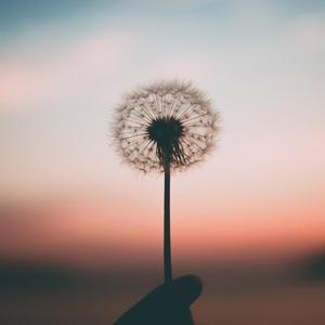 好想好想（翻自 群星）