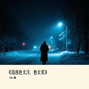 这夜色太冷，也太美