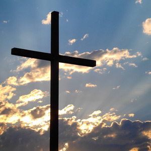 I Praise in the Morning