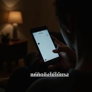 แค่คิดถึงไม่ได้หรอ