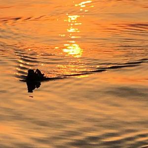 Not my time to die(慢版)