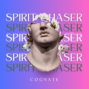 Spirit Chaser
