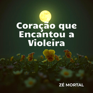 CORAÇÃO QUE ENCANTOU A VIOLEIRA