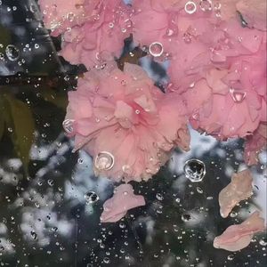 岁月的脚步-陈子渝-整曲