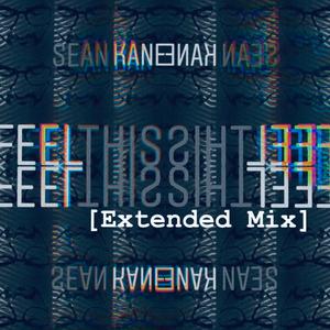 Feel This (Extended Mix)