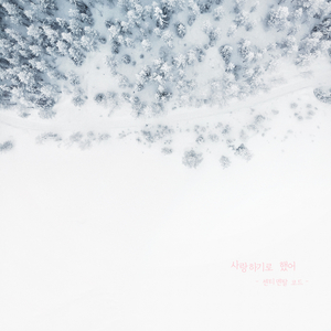 사랑하기로 했어