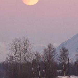 说再见不应该在秋天