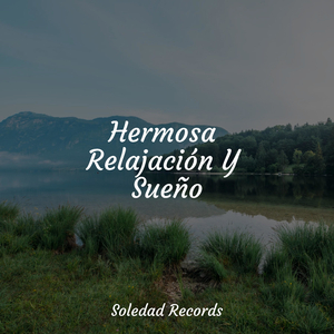 Melodía De Meditación Matutina