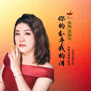 你的分手我的泪 (DJ晓朋)