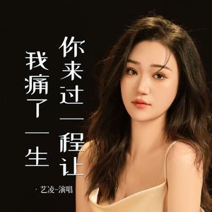 你来过一程让我痛了一生