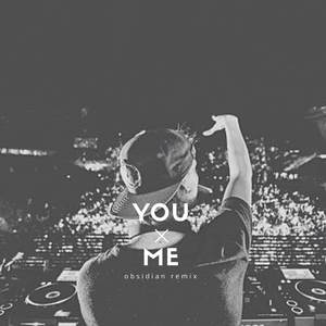 Avicii-SOS（Obsidian / Avicii remix）