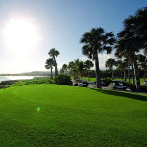 爱情是什么力量1