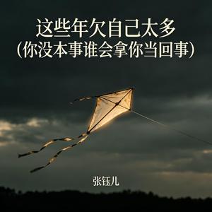 这些年欠自己太多(你没本事谁会拿你当回事)