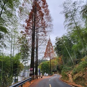 遗憾是会开花的痛