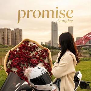 Promise（诺言）