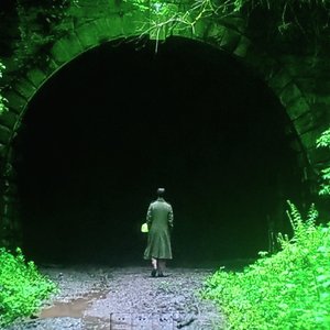 夏夜萤火