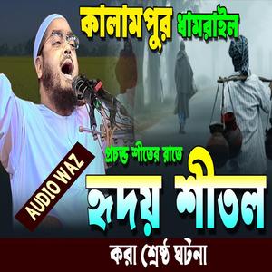 হাফিজুর রহমান সিদ্দিকীর কান্নার নতুন ওয়াজ