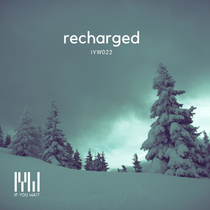 Mission Critical (Max Freegrant & Slow Fish Remix)